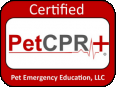 CPR Badge